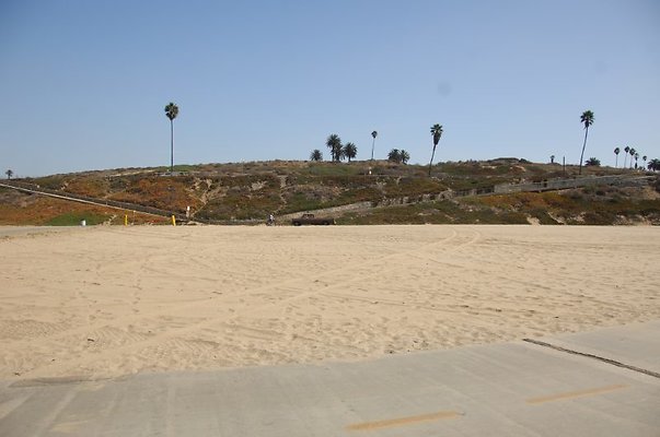 DSC 1233