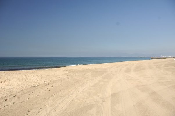 DSC 1117