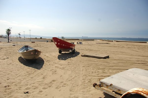 DSC 1355