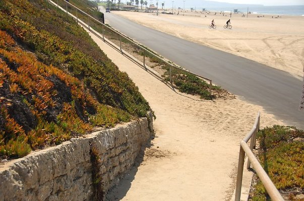 DSC 1265