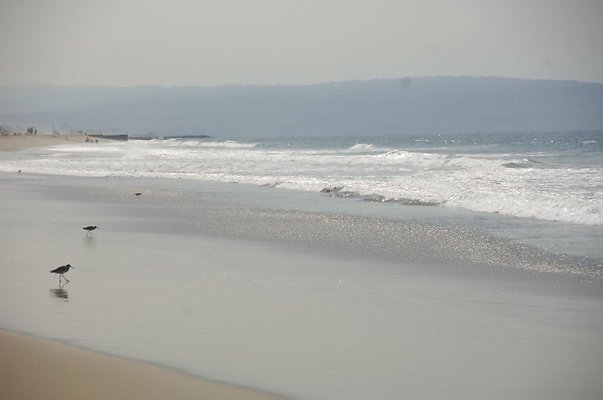 DSC 1176