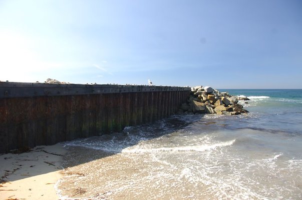 DSC 1138