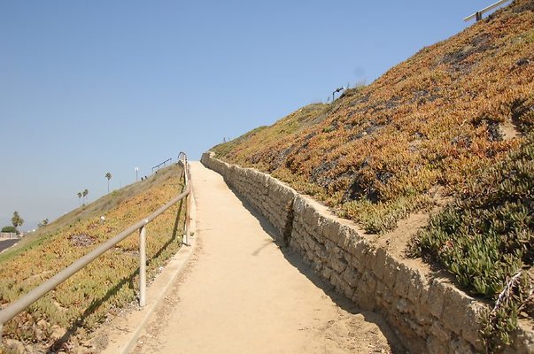 DSC 1252