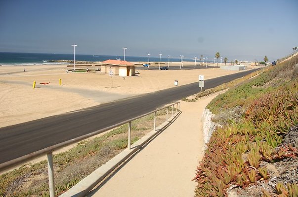 DSC 1275