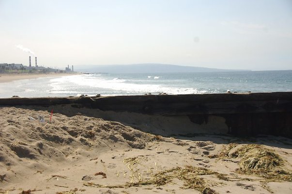 DSC 1155