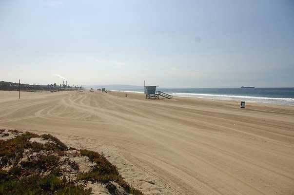 DSC 1225