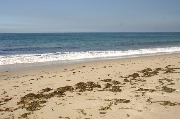 DSC 1146
