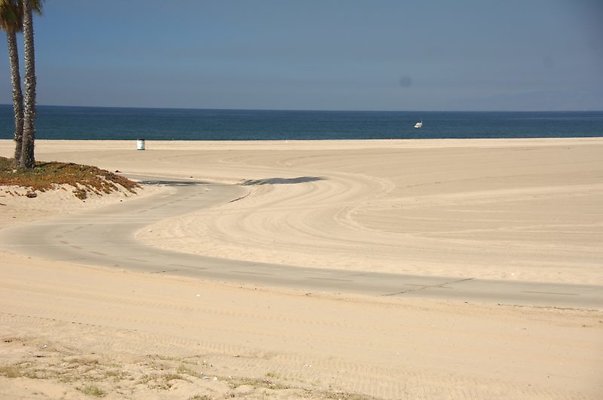 DSC 1358