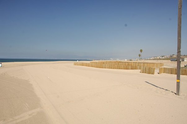 DSC 1103