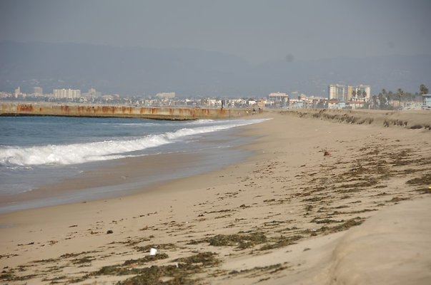 DSC 1145