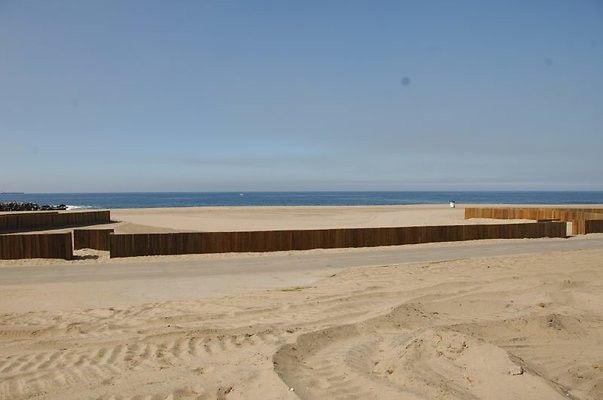 DSC 1077