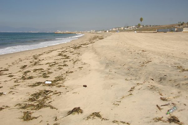 DSC 1147