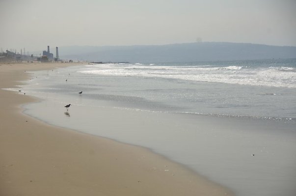 DSC 1175