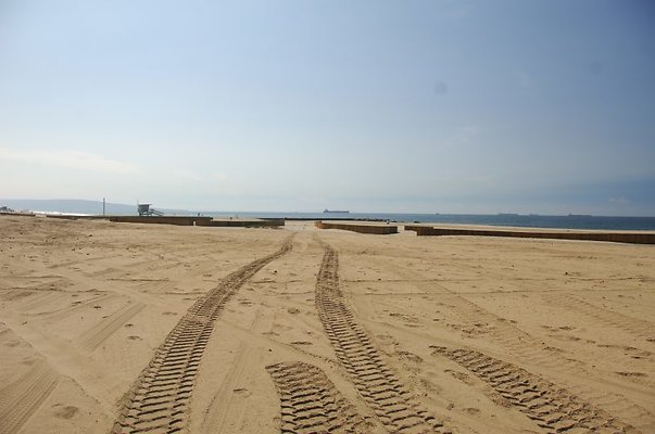 DSC 1371