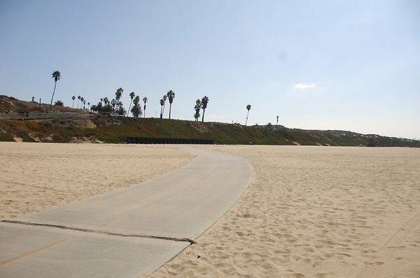 DSC 1235