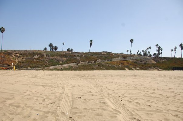 DSC 1243