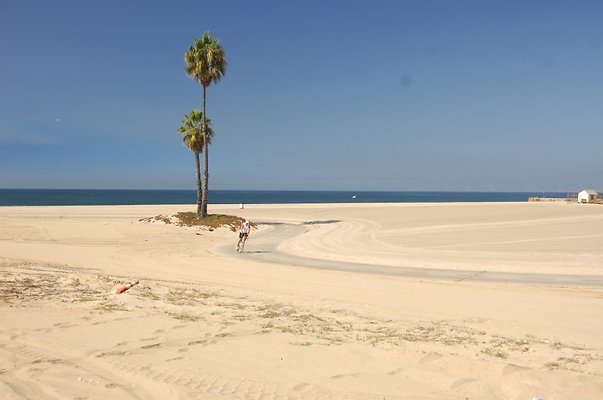 DSC 1362