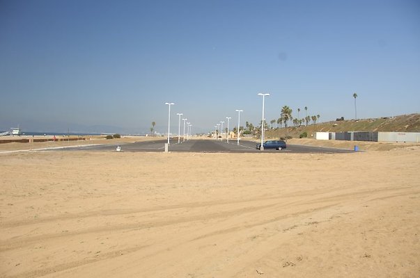 DSC 1308