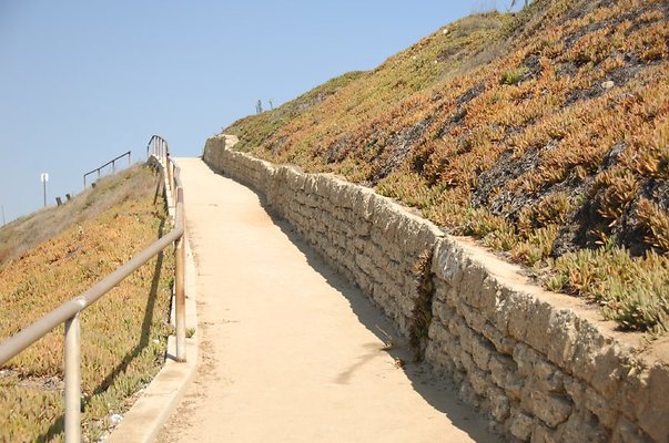 DSC 1250
