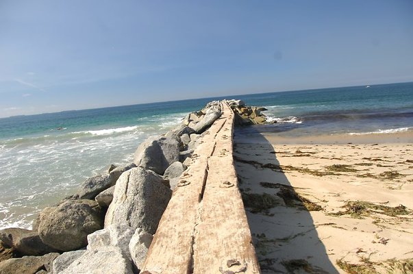 DSC 1133