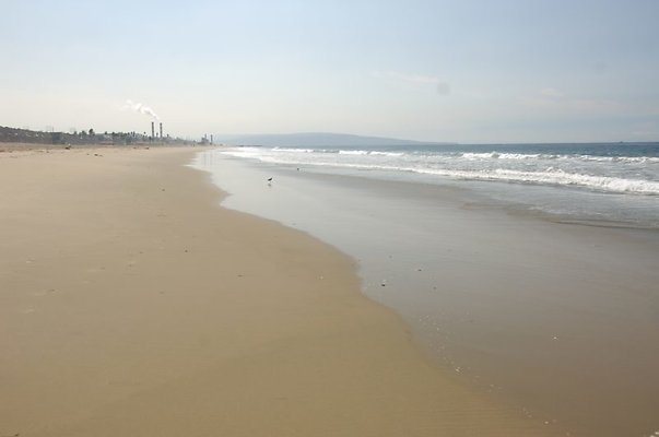 DSC 1178