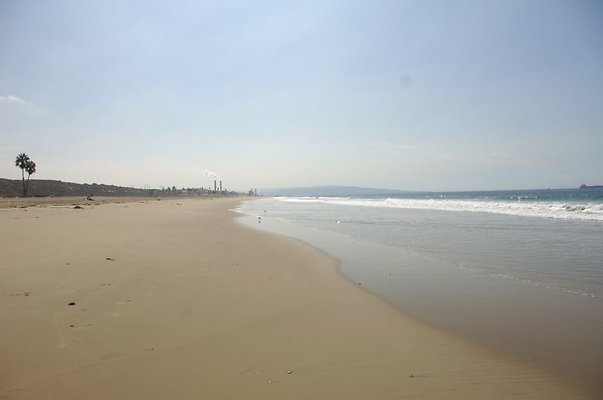 DSC 1173