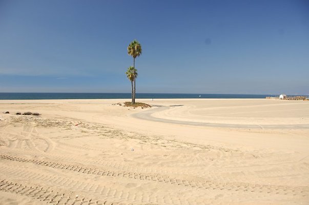 DSC 1357