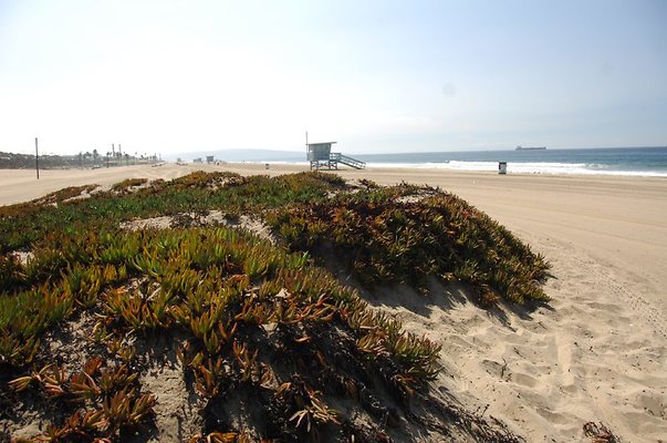 DSC 1220