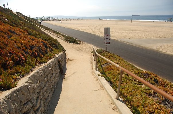 DSC 1263