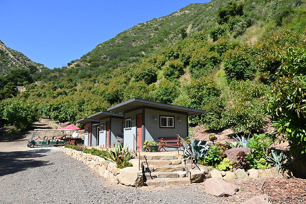 DSK 0088