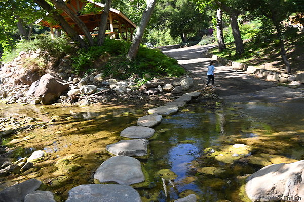 10 Stream Crossing