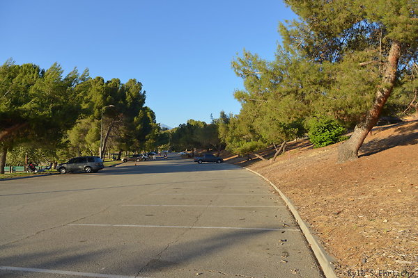 DSC 4722
