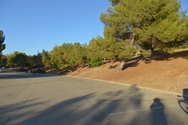DSC 4756