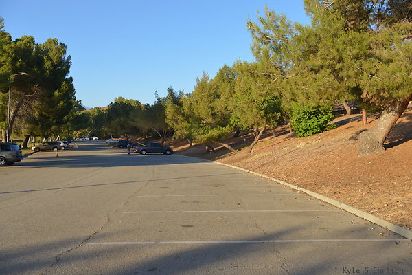 DSC 4828