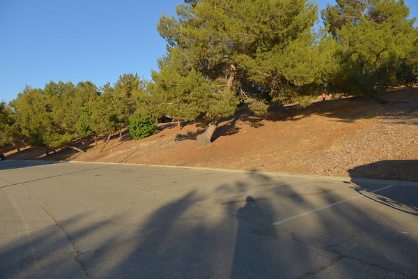 DSC 4765