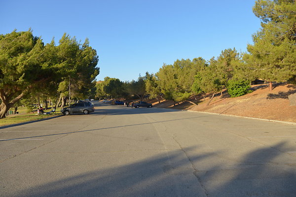 DSC 4764
