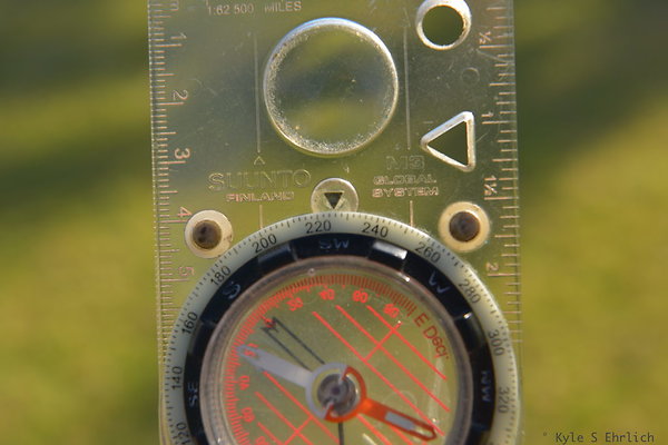 DSC 4629