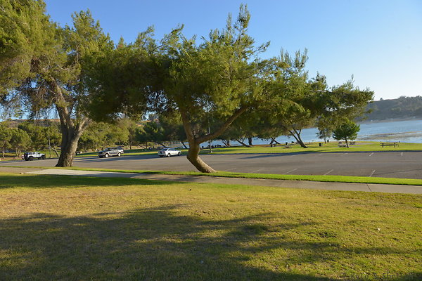 DSC 4650