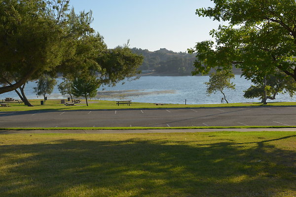 DSC 4625