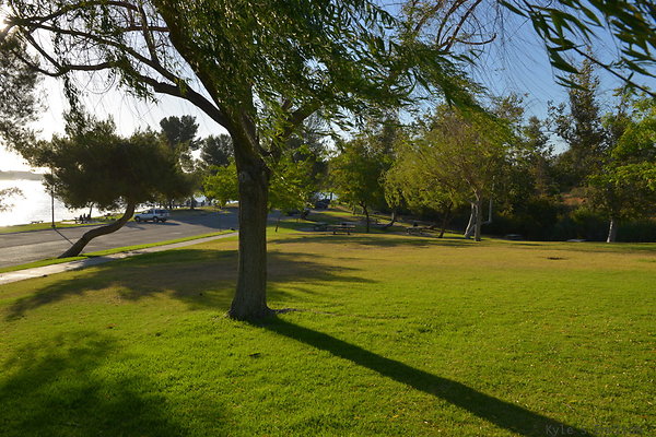 DSC 4640