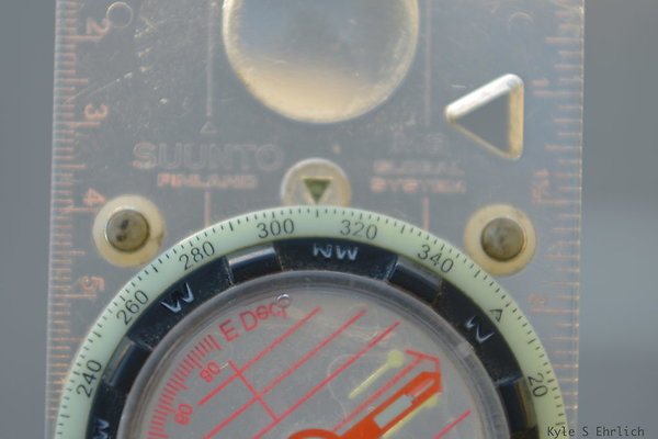DSC 4608