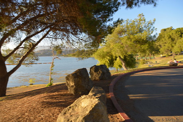DSC 4816