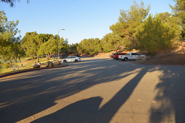 DSC 4817