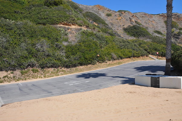 DSC 1535