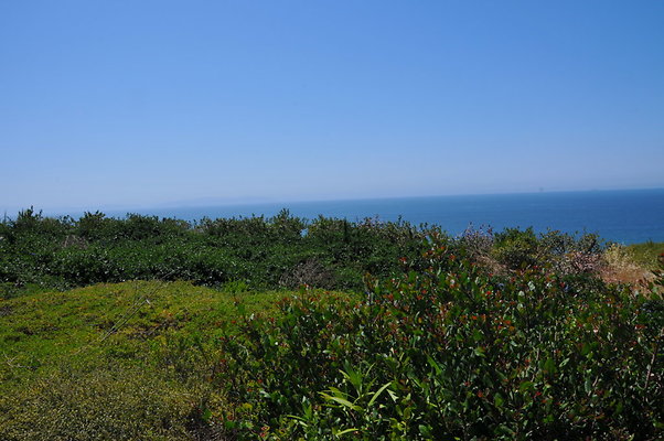 DSC 1219