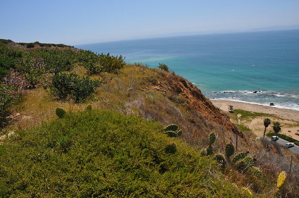 DSC 1251