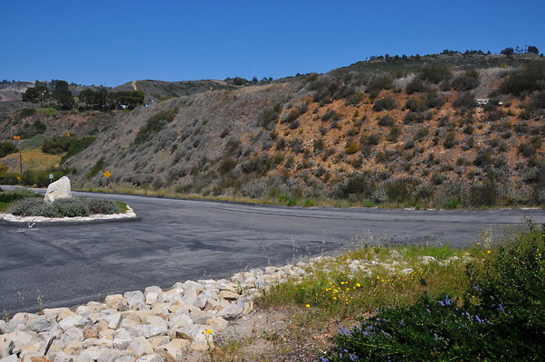 DSC 1227