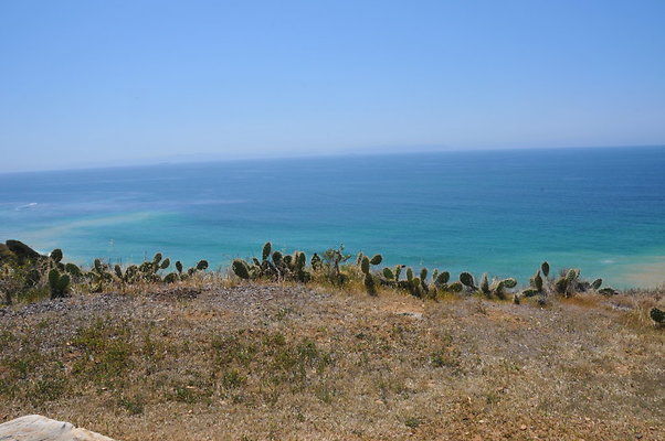DSC 1232