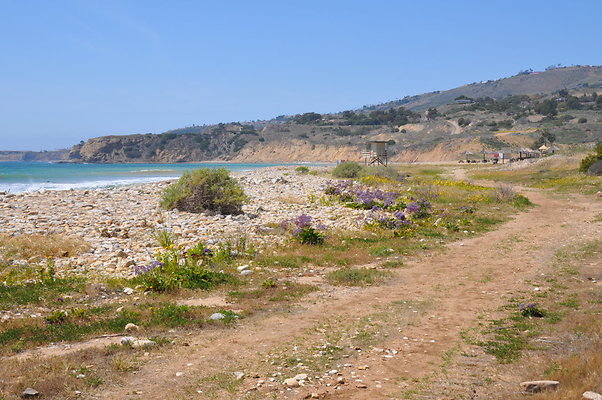 DSC 1429