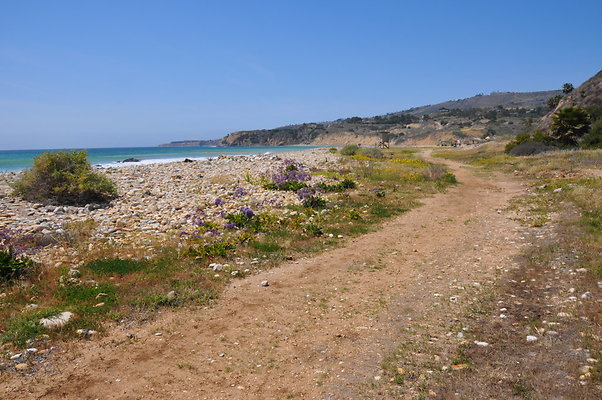 DSC 1430